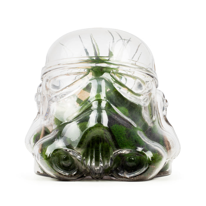 Original Stormtrooper Terrarium & Cookie Jar