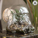 Original Stormtrooper Terrarium showcasing greenery in a unique helmet design with natural stones.