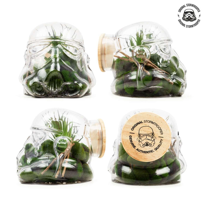 Original Stormtrooper Terrarium showcasing plants in a unique stormtrooper helmet design. Officially licensed merchandise.