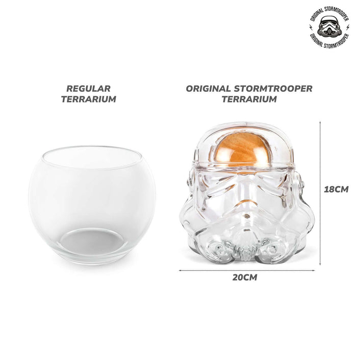 Original Stormtrooper Terrarium next to a regular terrarium, showcasing unique design and dimensions.